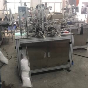 Calathea Beauty Star